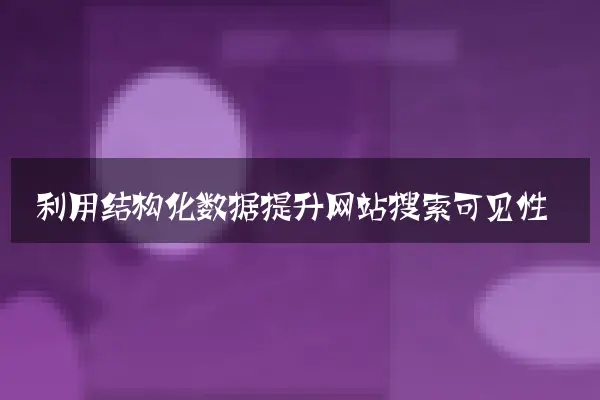 利用结构化数据提升网站搜索可见性